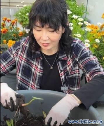 梁朝伟:当评委比捡鸡蛋更需要耐性 明星种地寻安心