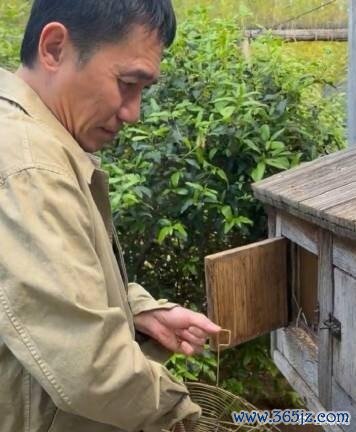 梁朝伟:当评委比捡鸡蛋更需要耐性