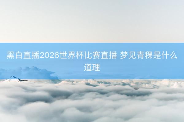 黑白直播2026世界杯比赛直播 梦见青稞是什么道理
