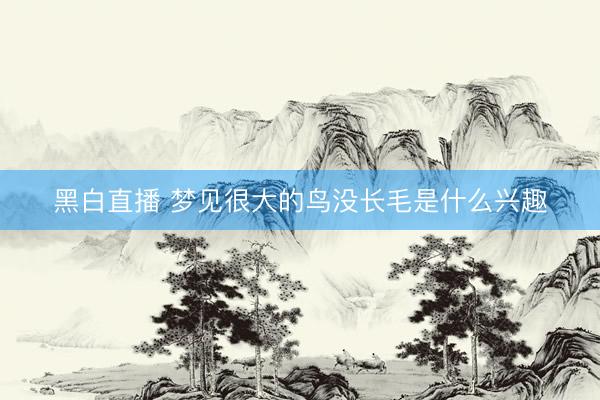 黑白直播 梦见很大的鸟没长毛是什么兴趣