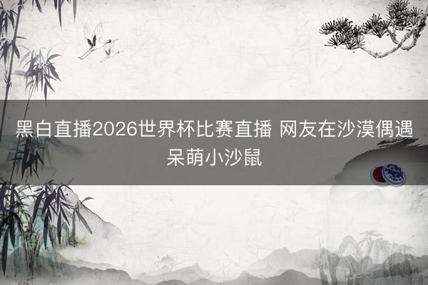 黑白直播2026世界杯比赛直播 网友在沙漠偶遇呆萌小沙鼠