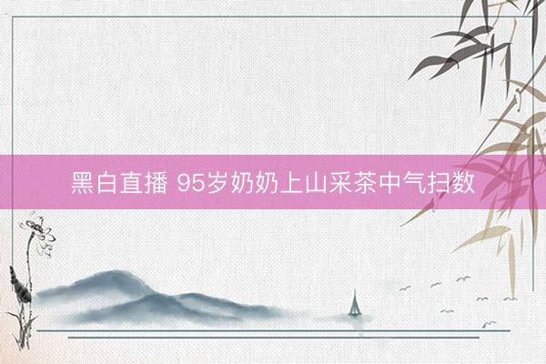 黑白直播 95岁奶奶上山采茶中气扫数