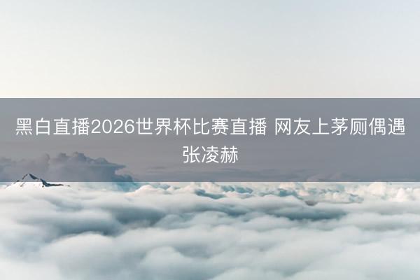 黑白直播2026世界杯比赛直播 网友上茅厕偶遇张凌赫