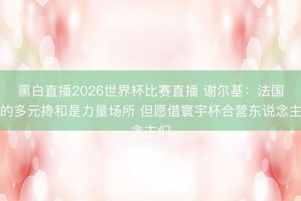 黑白直播2026世界杯比赛直播 谢尔基:法国队的多元搀和是力量场所 但愿借寰宇杯合营东说念主们