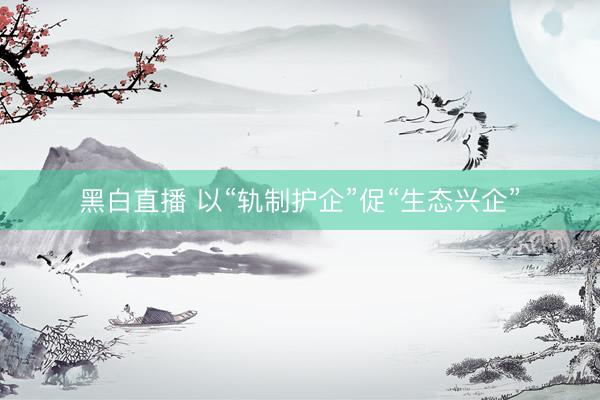 黑白直播 以“轨制护企”促“生态兴企”