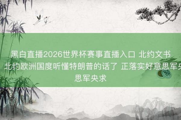 黑白直播2026世界杯赛事直播入口 北约文书长:北约欧洲国度听懂特朗普的话了 正落实好意思军央求
