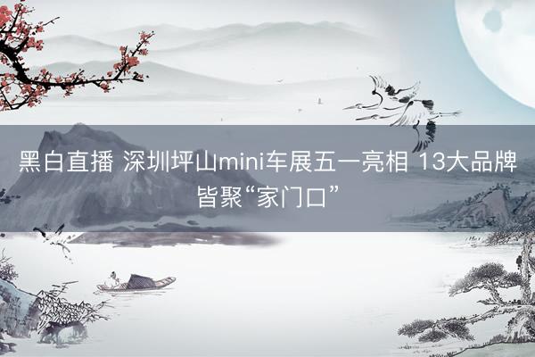 黑白直播 深圳坪山mini车展五一亮相 13大品牌皆聚“家门口”