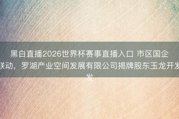 黑白直播2026世界杯赛事直播入口 市区国企联动,罗湖产业空间发展有限公司揭牌股东玉龙开发