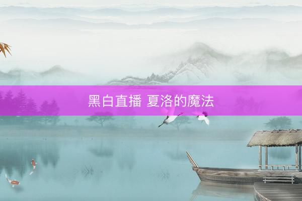 黑白直播 夏洛的魔法