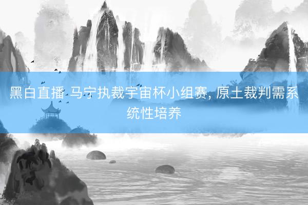 黑白直播 马宁执裁宇宙杯小组赛, 原土裁判需系统性培养
