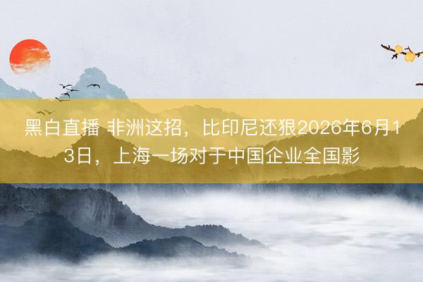 黑白直播 非洲这招,比印尼还狠2026年6月13日,上海一场对于中国企业全国影